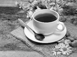 Pebble, Bench, tea, chamomile, cup