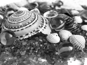 Shells, Red, pebbles, M&Ms balls
