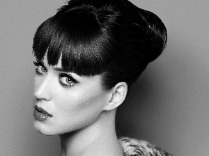 songster, Katy Perry