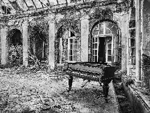 Piano, Neglected, house