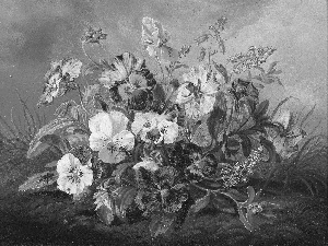 picture, pansies, bouquet