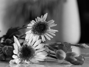 pitcher, bouquet, flowers