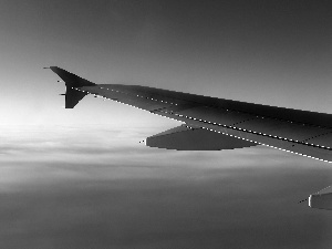 plane, Sky, wing