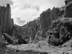 Plants, canyons, Sky