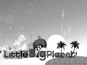 LittleBigPlanet, Platform