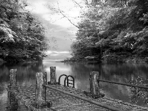 River, viewes, Platform, trees