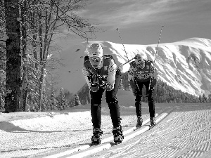 skis, Sochi 2014, players