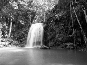 trees, waterfall, Plitvice, Coartia, viewes, lake