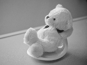 teddy bear, White, Plush