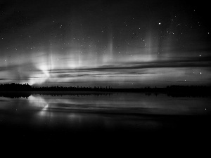 Polaris, forest, lake, dawn, Sky