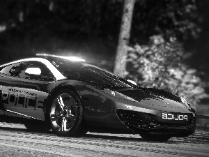 Need for Speed Hot Pursuit, Police