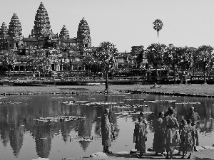 Cambodia, Monkish, Pond - car, Angkor Wat