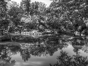 trees, viewes, Garden, Pond - car, San Francisco