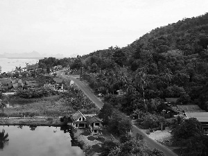 Pond - car, Houses, viewes, Thailand, trees, Way