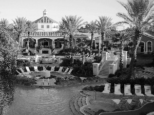 Palms, Hotel hall, Pool