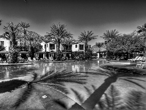 Palms, Hotel hall, Pool