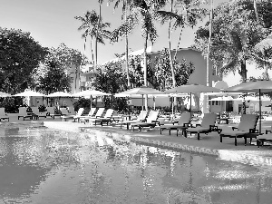 Palms, Hotel hall, Pool