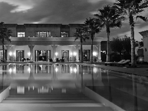 Palms, Hotel hall, Pool