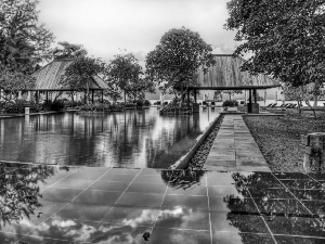 Pool, Malaysia, trees, viewes, Houses