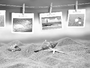 Beaches, Sand, postcards, Shells