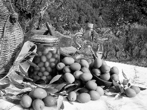 Preparations, olives, oil