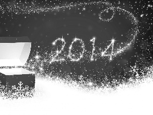 New Year 2014, Present