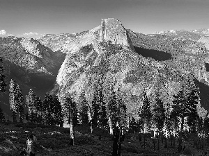 boulders, Przebijające, luminosity, ligh, flash, Spruces, Mountains, sun