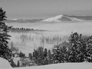 Fog, Przebijające, luminosity, ligh, flash, woods, Mountains, sun