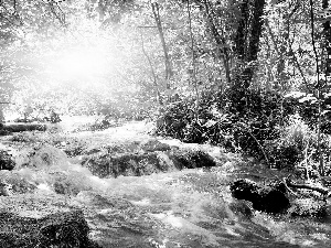 forest, Przebijające, luminosity, ligh, flash, Stones, River, sun