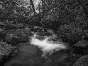 rocks, Przebijające, luminosity, ligh, flash, forest, River, sun