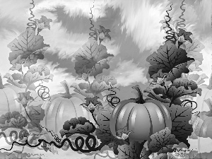 graphics, leaves, Flowers, pumpkin