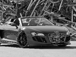 Red, Audi R8