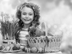 girl, Easter, Rabbit, Daffodils, basket, eggs