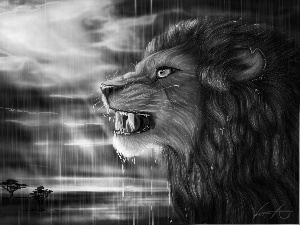 Rain, Art, west, sun, Lion