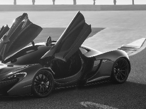 Doors, McLaren P1, raised