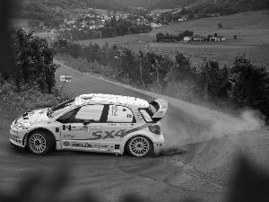 return, Suzuki SX4, rally