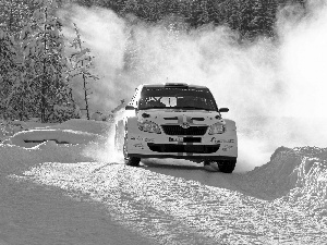 mountains, Skoda, rally, winter, forest, Fabia