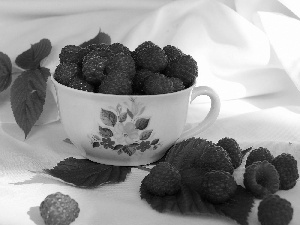 cup, raspberries