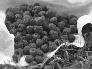 Raspberries, grass, napkin