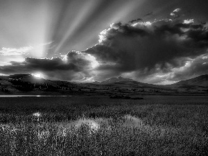 rays, swamp, clouds