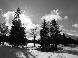 rays, sun, woods, clouds, field