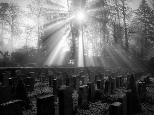 rays, sun, cemetery, winter, german