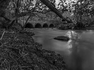 trees, bridge, rays, sun, viewes, River