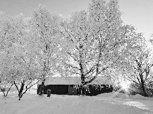 house, trees, sunny, viewes, field, rays, winter