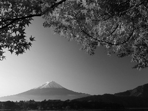 Mount, Japan, Red, Leaf, Fuji, mountains