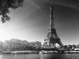 Red, Leaf, Eiffla, Paris, tower