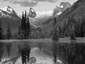 Houses, forest, Colombia, lake, Mountains, reflection, British