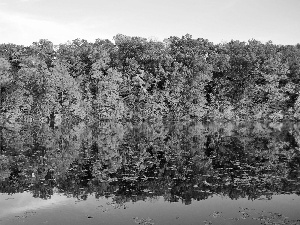 lake, viewes, reflection, trees