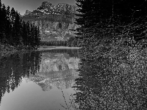 mountains, forest, reflection, lake