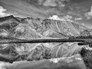 Mountains, lake, reflection, Meadow
